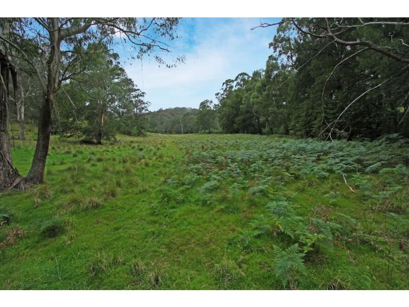 154 McCardys Creek Road, Nelligen NSW 2536