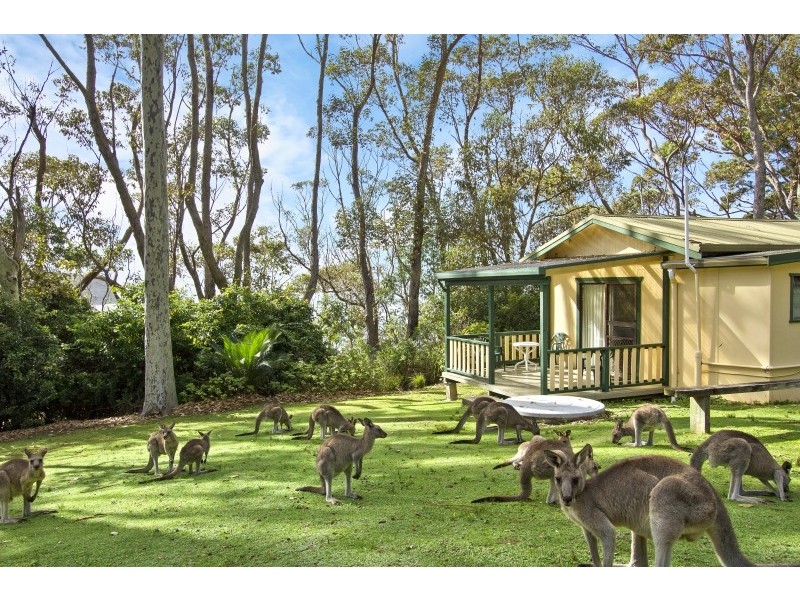 Lot 115 Pebbly Beach Road, Pebbly Beach NSW 2536