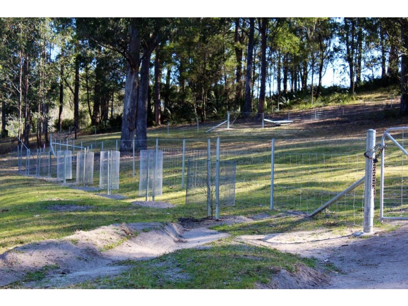 221 Allards Lane, Nelligen NSW 2536