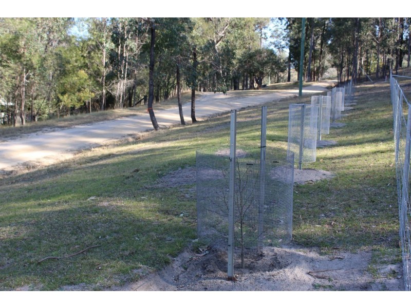 221 Allards Lane, Nelligen NSW 2536