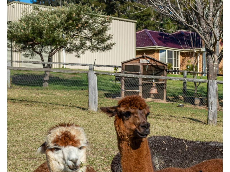 54 Allards Lane, Nelligen NSW 2536