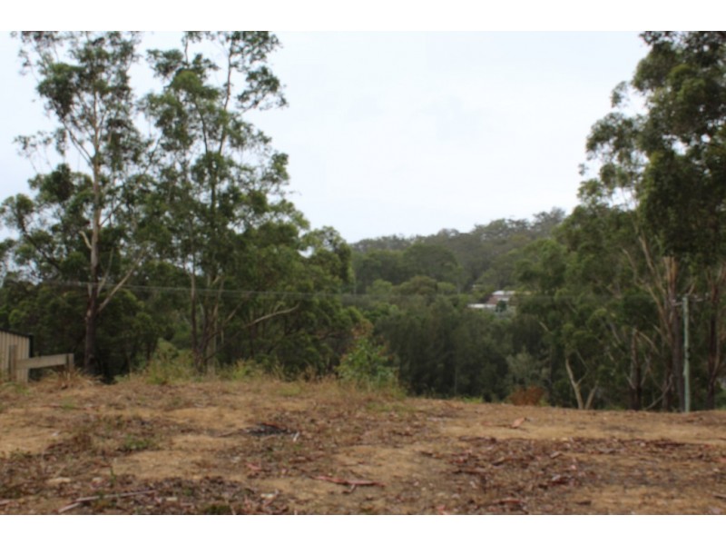 121 Country Club Drive, Catalina NSW 2536