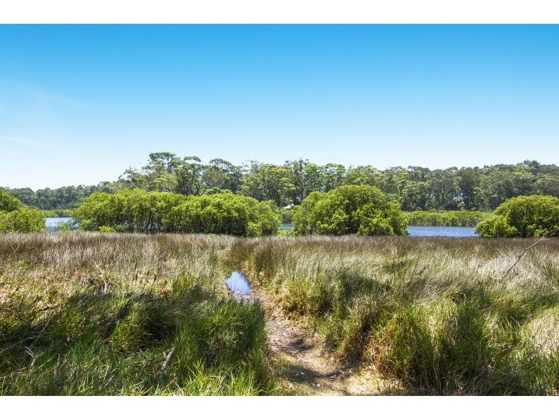 67 Candlagan Drive, Broulee NSW 2537