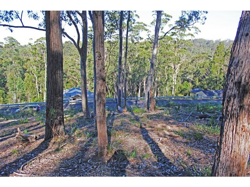 20 Oakwood Way, Catalina NSW 2536