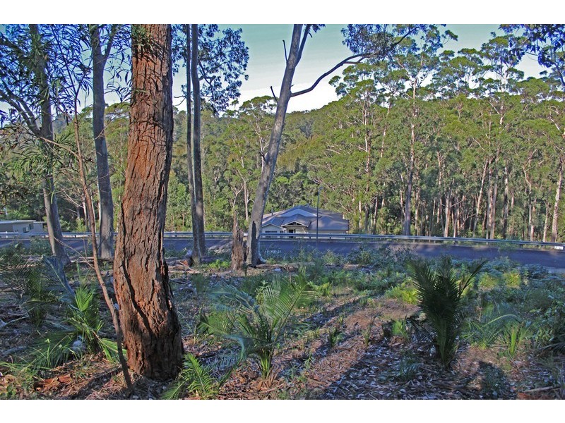 20 Oakwood Way, Catalina NSW 2536