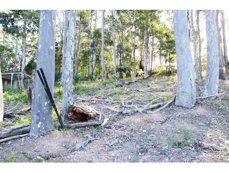 20 Oakwood Way, Catalina NSW 2536