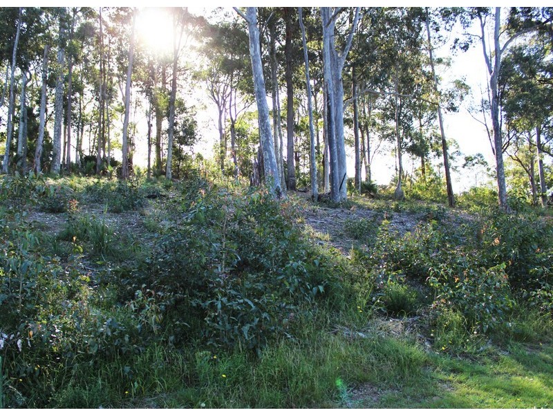 20 Oakwood Way, Catalina NSW 2536