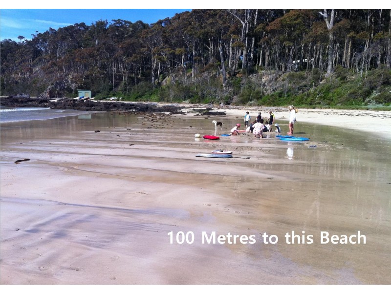 198 George Bass Drive, Lilli Pilli NSW 2536