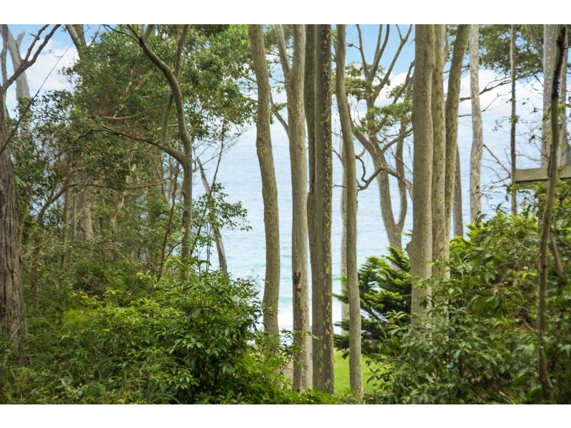 198 George Bass Drive, Lilli Pilli NSW 2536