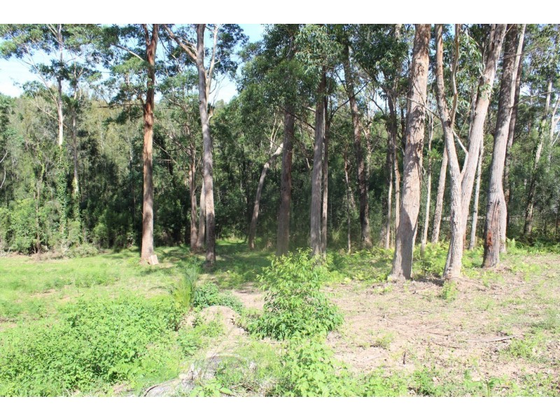 15 Oakwood Way, Catalina NSW 2536