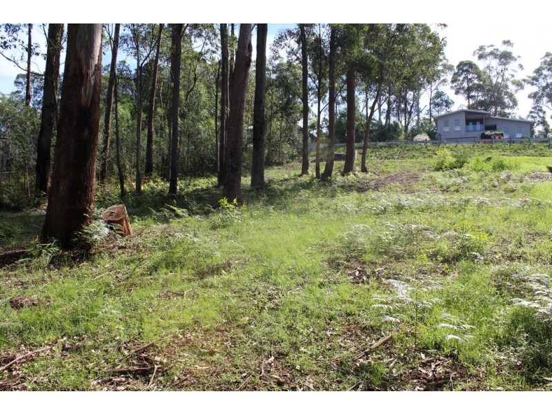 15 Oakwood Way, Catalina NSW 2536