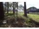 15 Oakwood Way, Catalina NSW 2536