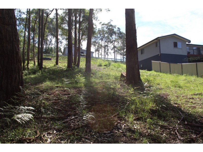 15 Oakwood Way, Catalina NSW 2536
