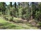 15 Oakwood Way, Catalina NSW 2536