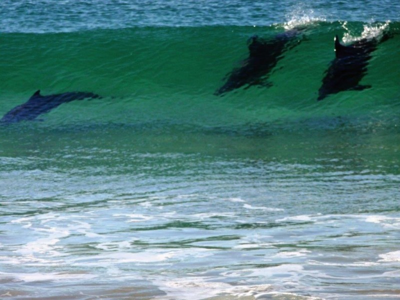 15 Jutland Avenue, Tuross Head NSW 2537