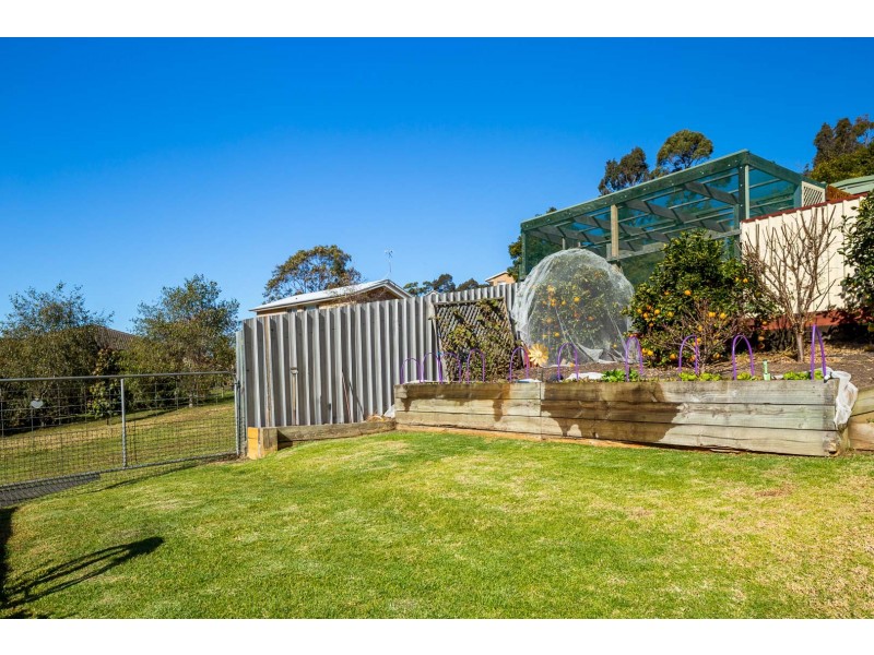 8 Crinum Place, Catalina NSW 2536