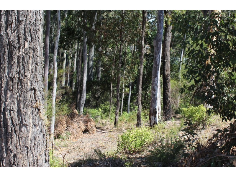 17 Bellbird Drive, Malua Bay NSW 2536