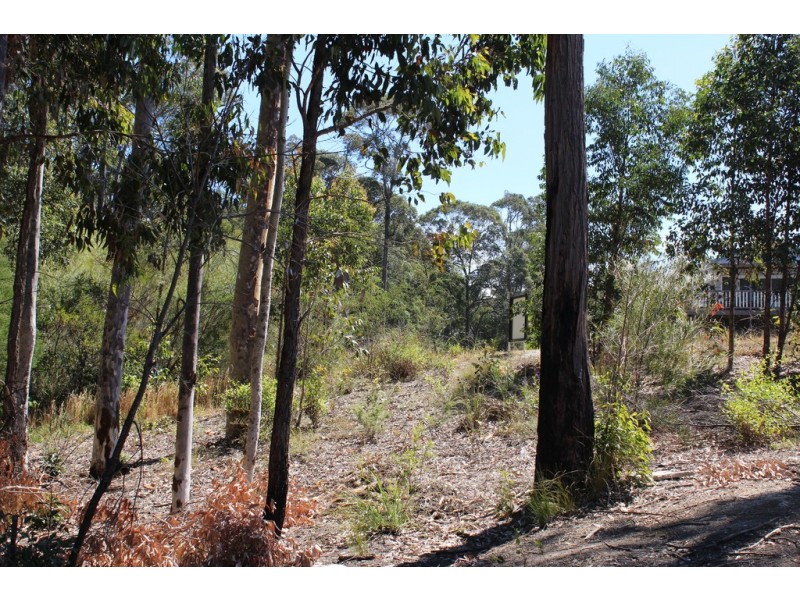 17 Bellbird Drive, Malua Bay NSW 2536