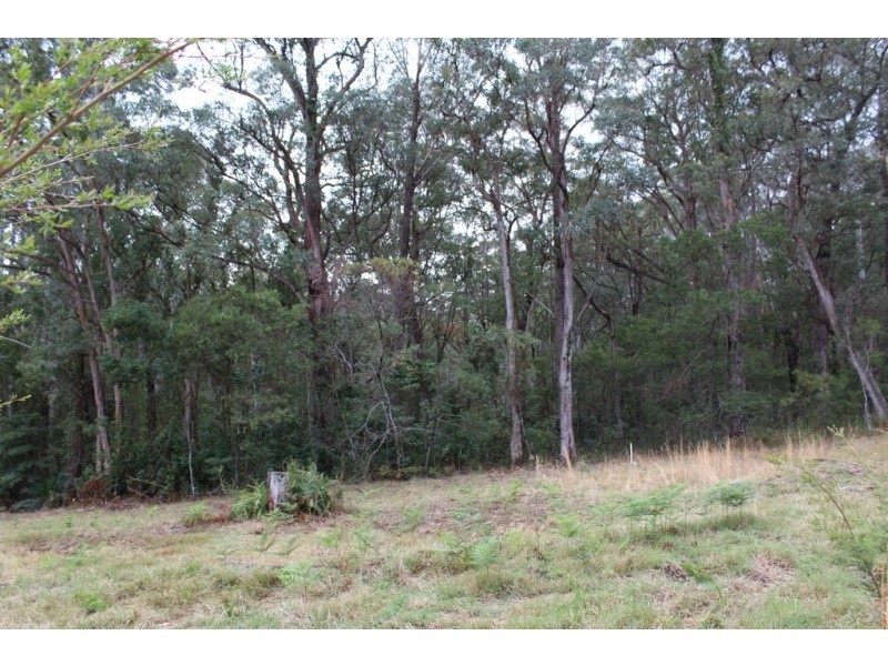 Lot 3 / 51 Kettle Road, Long Beach NSW 2536