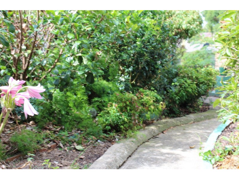 82 PALANA STREET, Surfside NSW 2536