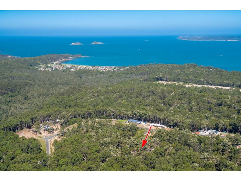 25 Sanctuary Forest Place, Long Beach NSW 2536
