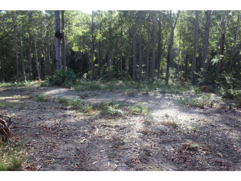 25 Sanctuary Forest Place, Long Beach NSW 2536