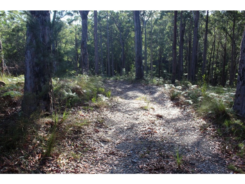 25 Sanctuary Forest Place, Long Beach NSW 2536