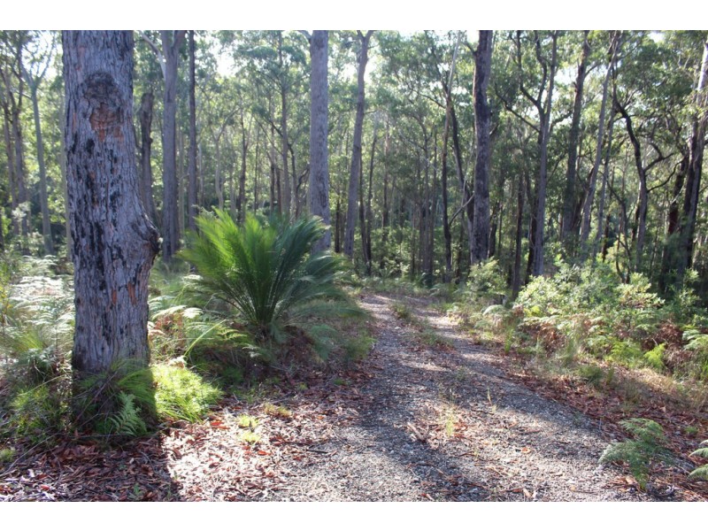 25 Sanctuary Forest Place, Long Beach NSW 2536