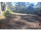 25 Sanctuary Forest Place, Long Beach NSW 2536