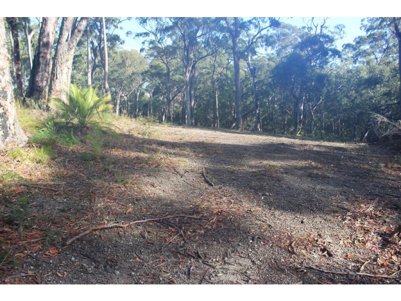 25 Sanctuary Forest Place, Long Beach NSW 2536
