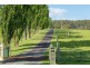 470 Larrys Mountain Road, Moruya NSW 2537