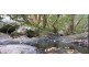 470 Larrys Mountain Road, Moruya NSW 2537