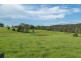 470 Larrys Mountain Road, Moruya NSW 2537
