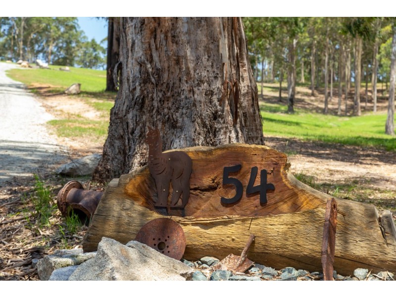 54B Allards Lane, Nelligen NSW 2536