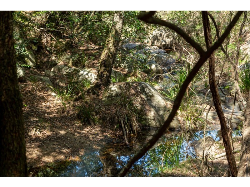 54B Allards Lane, Nelligen NSW 2536