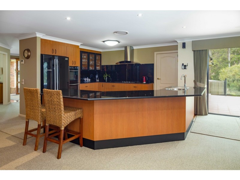 49 Brindabella Street, Bergalia NSW 2537