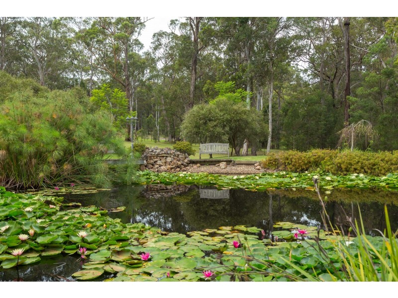 49 Brindabella Street, Bergalia NSW 2537