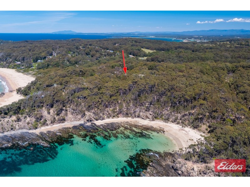 3 Dale Place, Rosedale NSW 2536