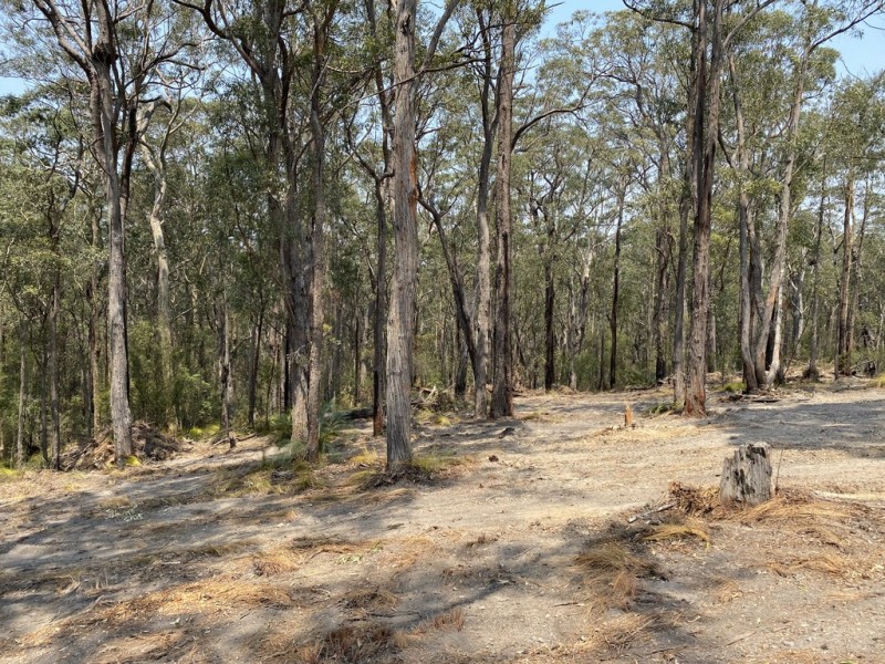 Lot 29 Kettle Road, Long Beach NSW 2536