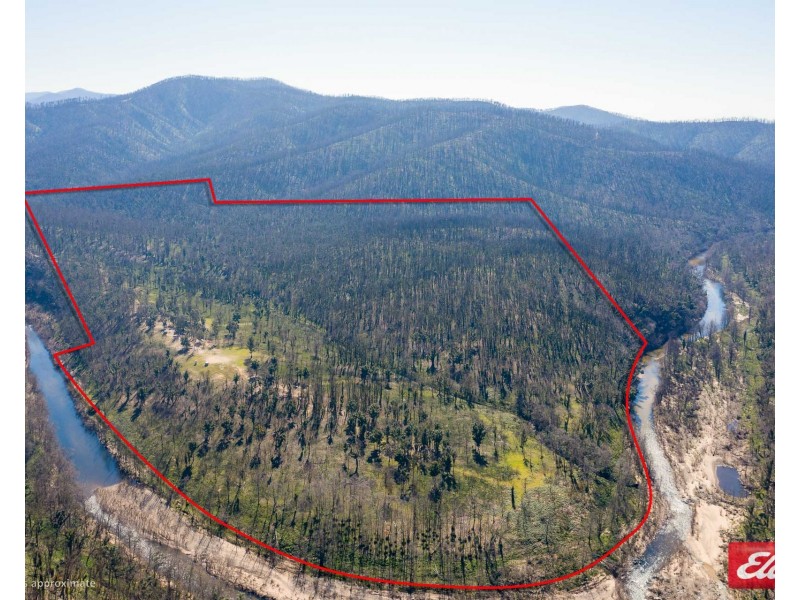 372 MURPHYS RIDGE ROAD, Nerrigundah NSW 2545