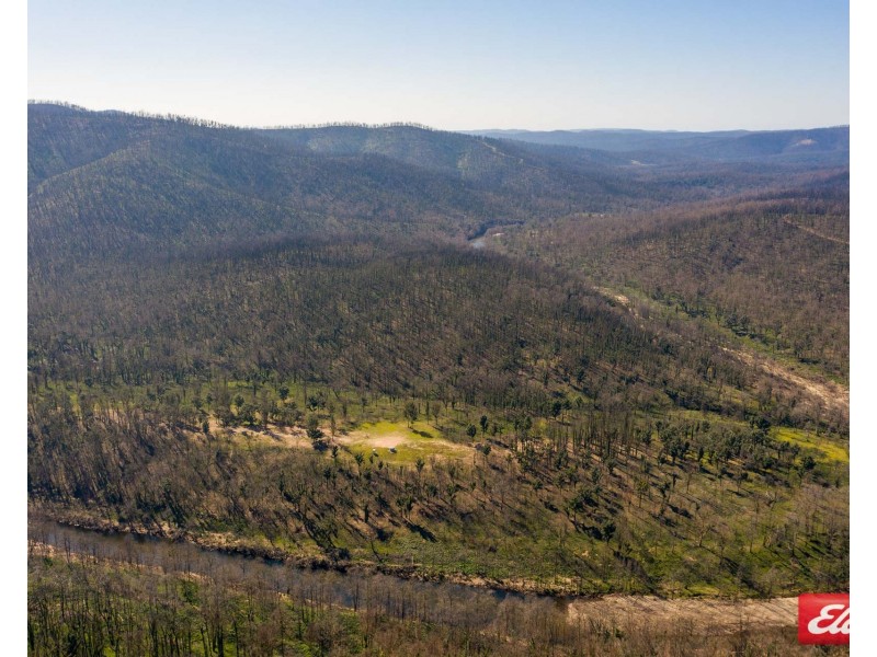 372 MURPHYS RIDGE ROAD, Nerrigundah NSW 2545