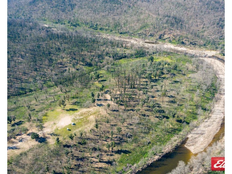 372 MURPHYS RIDGE ROAD, Nerrigundah NSW 2545