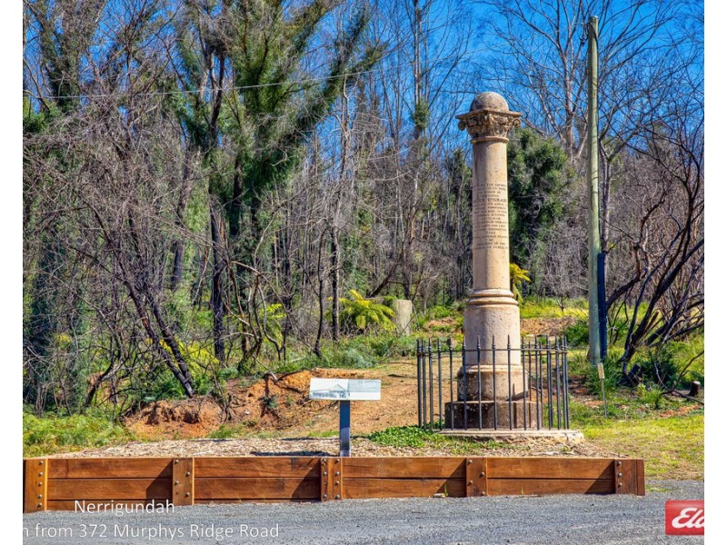 372 MURPHYS RIDGE ROAD, Nerrigundah NSW 2545