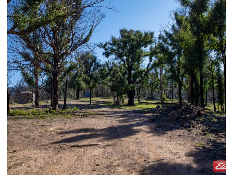 372 MURPHYS RIDGE ROAD, Nerrigundah NSW 2545