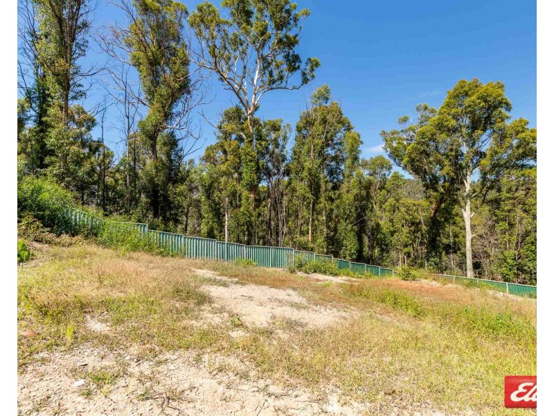 10 GANNET PLACE, Catalina NSW 2536