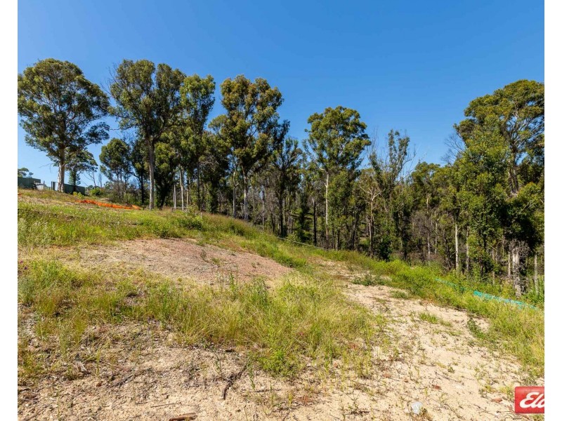 9 GANNET PLACE, Catalina NSW 2536