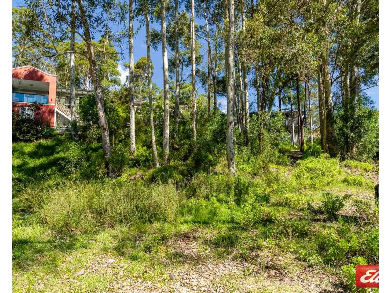 14 IBIS PLACE, Catalina NSW 2536