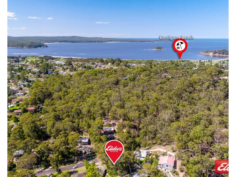 14 IBIS PLACE, Catalina NSW 2536