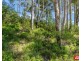 14 IBIS PLACE, Catalina NSW 2536