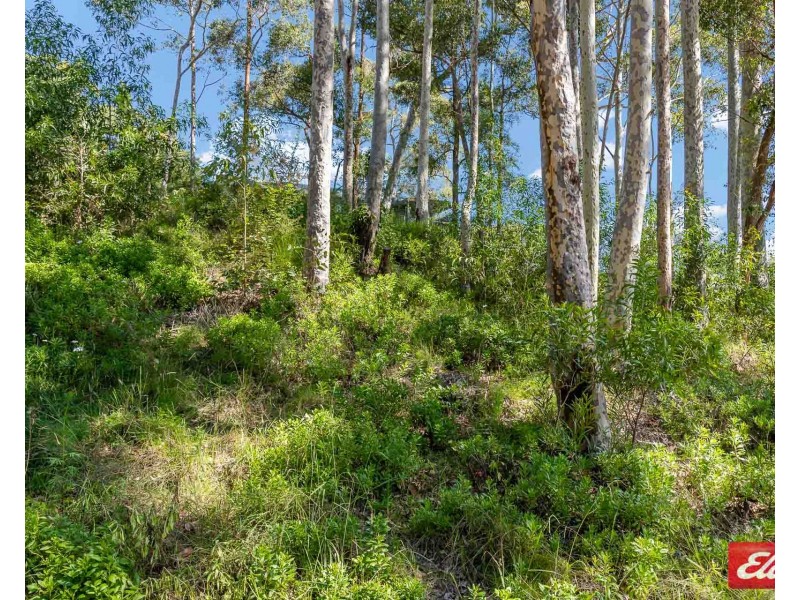 14 IBIS PLACE, Catalina NSW 2536